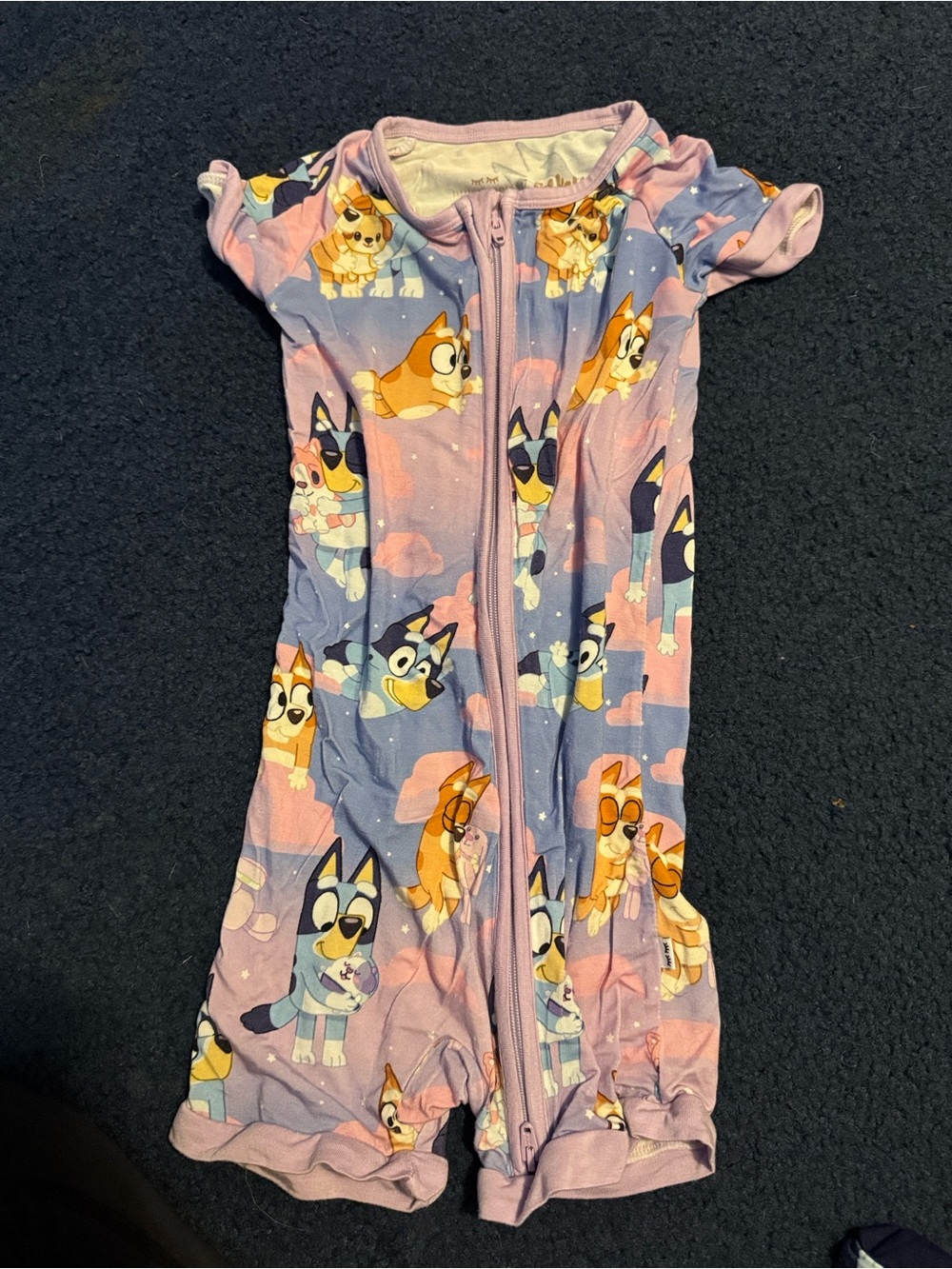 Girls' Bluey Short Sleeve shortie